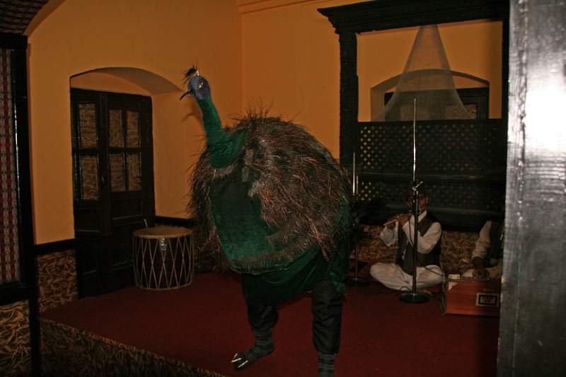 India & Nepal 2011 - 0337